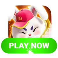 Fortune Rabbit